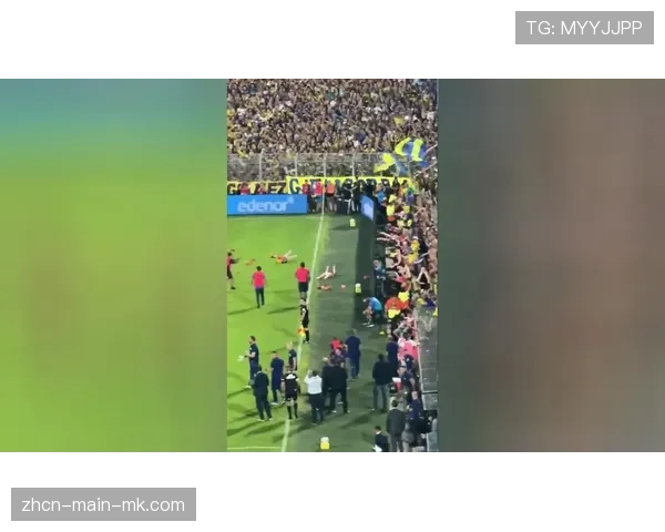 镜头记录：小球迷冲入场内拥抱哈兰德，随后被安保人员带离